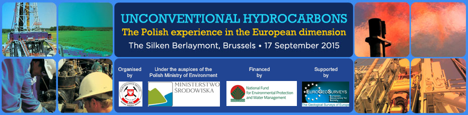 Unconventional Hydrocarbons - The Polish Experience in EU Dimension 