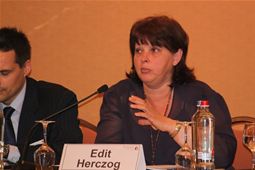 Edit Herczog, Member of the European Parliament 