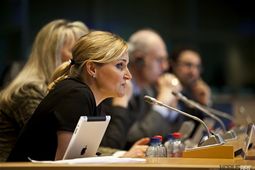 Katarzyna Lasota Heller gives her opening presentation 