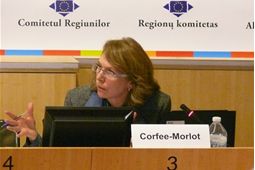 Jan Corfee-Morlot, OECD gives her opinion in Roundtable Discussion 
